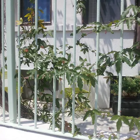 Hostel Old House Burgas City