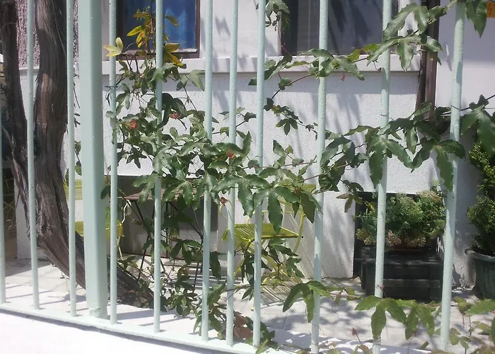 Хостел Old House Бургас